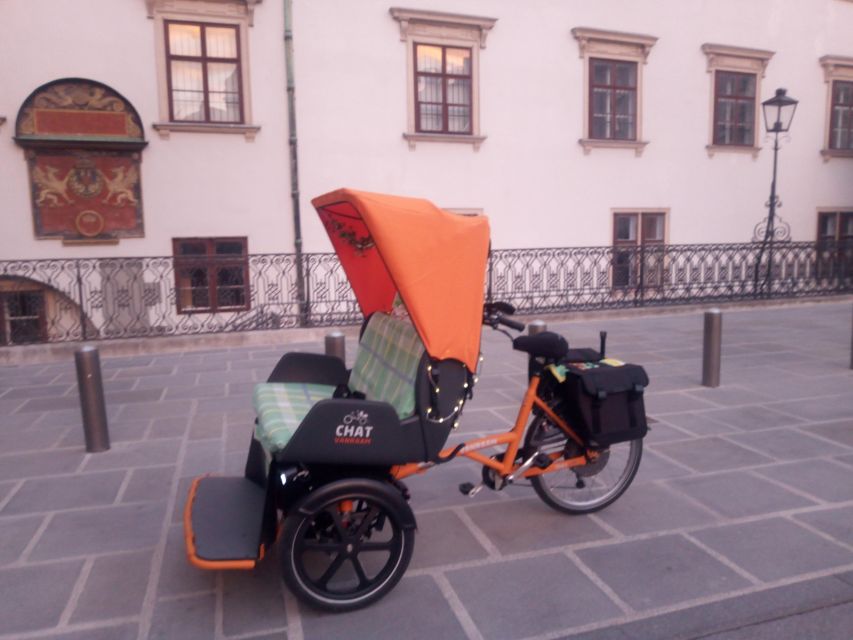 RAXI (Electric Rickshaw) Vienna 90 Minutes Tour - Tour Description