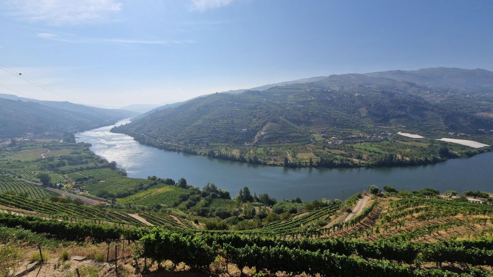 Reduced Mobility Visit the Douro Valley From Porto - Inclusions