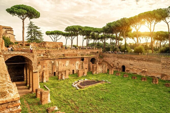 Roman Forum & Palatine Hill Guided Tour - Details of the Guided Tour Experience