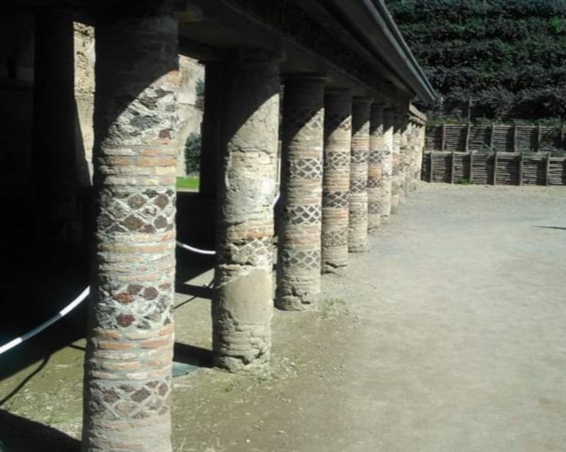 Rome: Private Guided Pompeii Ruins Tour With Hotel Transfer - Itinerary Details
