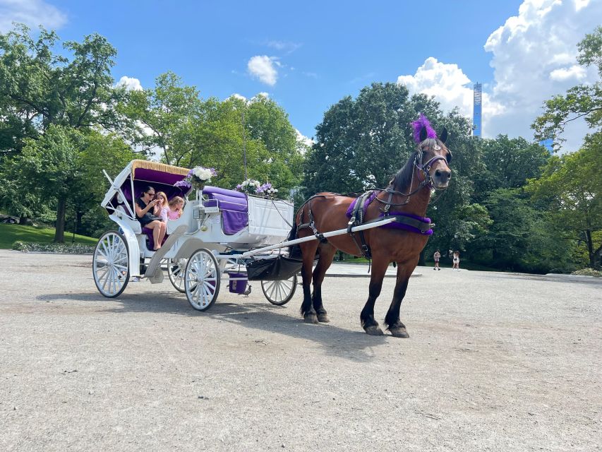 Royal Carriage Ride in Central Park NYC - Experience Quality