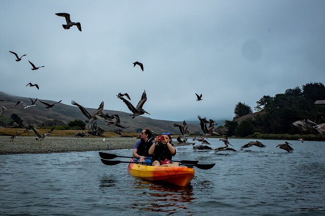 Russian River Kayak Tour at the Beautiful Sonoma Coast - Preparation Essentials