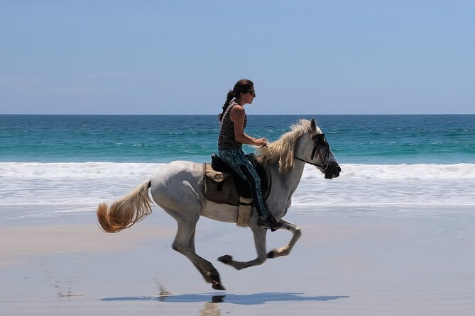 Safari & Barigona Beach on Horseback - Ride Along the Picturesque Barigona Beach