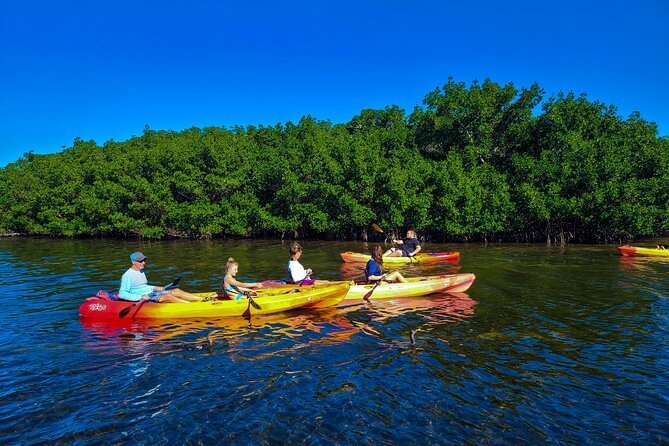 Sarasota: Lido Mangrove Tunnels Kayaking Tour - Directions