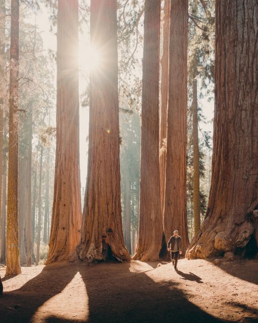 Sequoia & Kings Canyon National Parks: Two-Day Private Tour - Key Tour Highlights & Activities