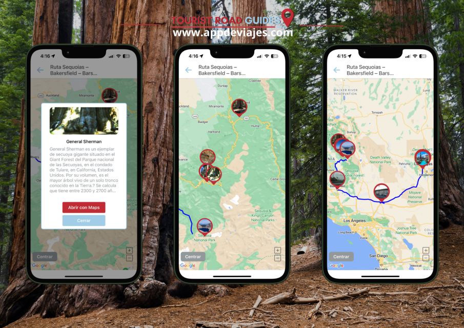 Sequoias National Park Self-Guided App With Audioguide - Highlights and Description