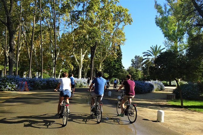 Seville Electric Bike Small Group Tour - Additional Information