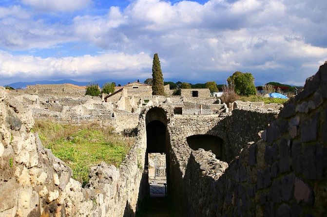 Skip-the-line Private Tour of Pompeii for Kids and Families - Cancellation Policy