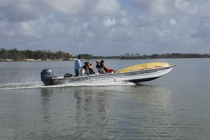 Small-Group Everglades Boating Kayaking and Walking Eco Tour - Traveler Photos and Testimonials