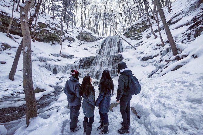 Small-Group Waterfalls Tour From Toronto, Niagara Escarpment - Geology Insights From Guide