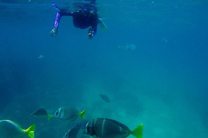 Snorkel and Hidden Beach Day Trip With Marine Biologist  - Cabo San Lucas - Weather and Cancellation Terms