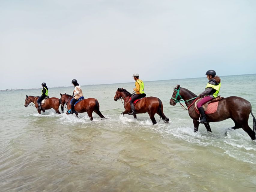 Sousse/Monastir: Private Horseback Riding Trip With Transfer - Detailed Itinerary
