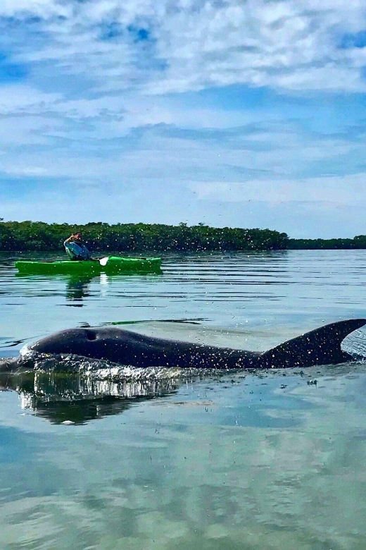 St Pete & St Pete Beach: Coastal Kayak Charters - Exclusions