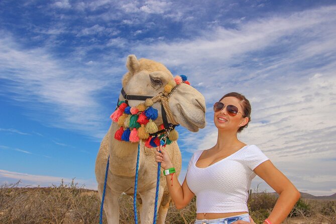 Sunset Beach Camel Ride With Mexican Buffet and Tequila Tasting - Reviews and Ratings