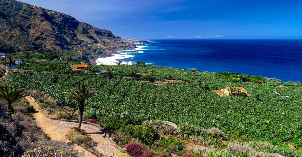 Tenerife Private Tour: Full-Day Historic North - Included Services