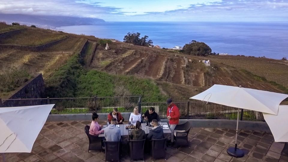 Tenerife Private Tour: Mount Teide Nature and Wine - Description