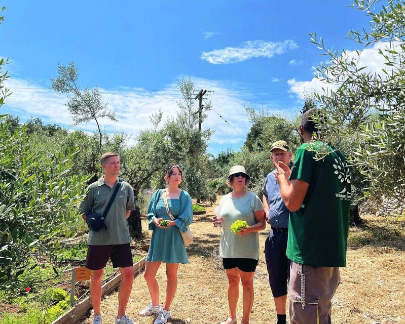 The Olive Oil Experience @ Lefkada Micro Farm - Activity Description