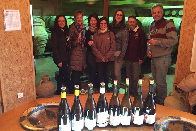 The Original Syrah Wine Tour (9:00 Am - 1:30 Pm) - Small Group Tours From Lyon - Reviews