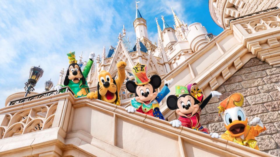 Tokyo Disneyland: 1-Day Entry Ticket and Private Transfer - Full Description
