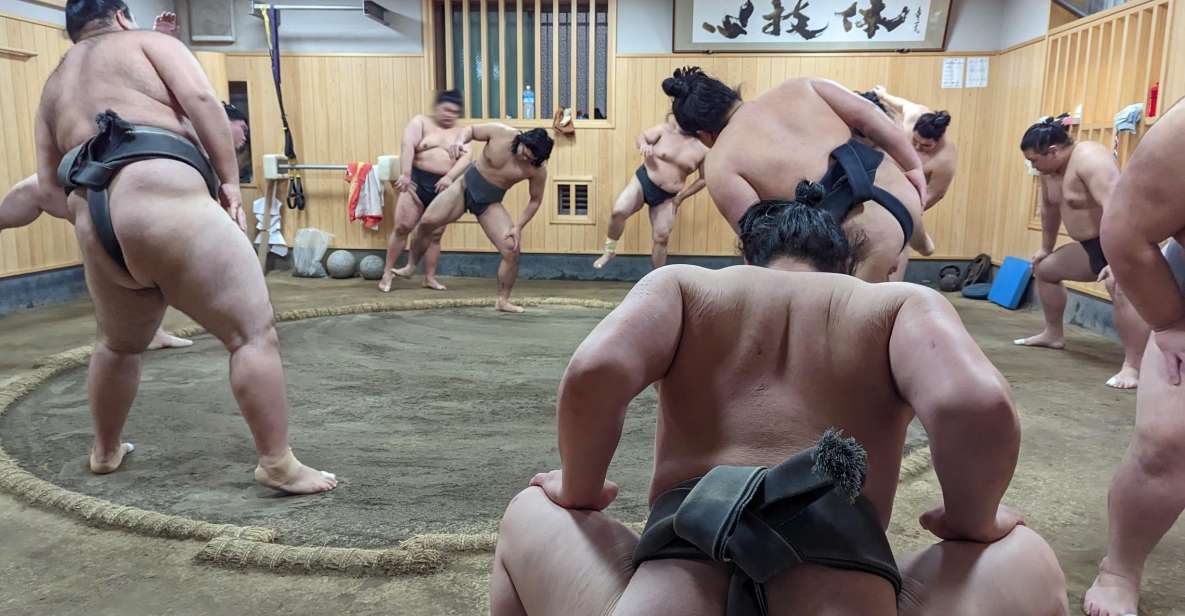 Tokyo: Morning Sumo Practice Viewing - Booking Details and Cost Information