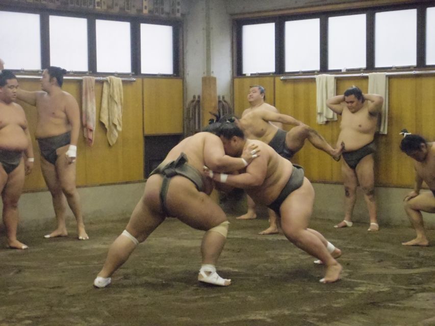 Tokyo: Sumo Morning Practice Viewing Tour - Customer Reviews