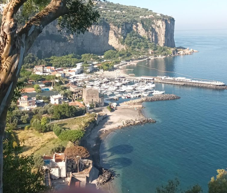Tour Sorrento and Positano From Naples - Reservation and Cancellation Policy