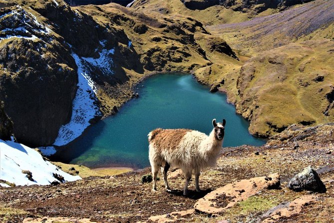 Ultimate Lares Trek & Inca Trail 5 Days - Visual Highlights and Photos