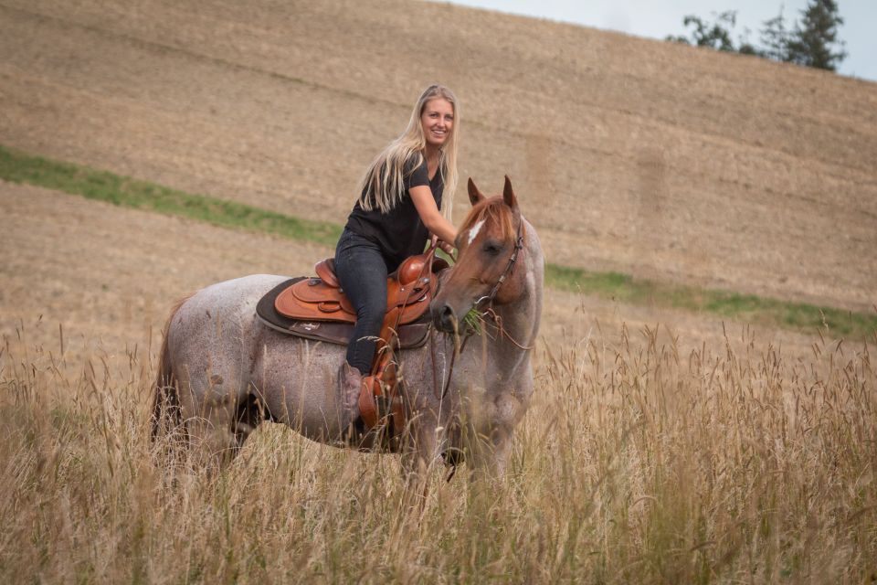 Upper Austria: Landscape, Forests, Meadows - Meadows and Wildlife Encounters