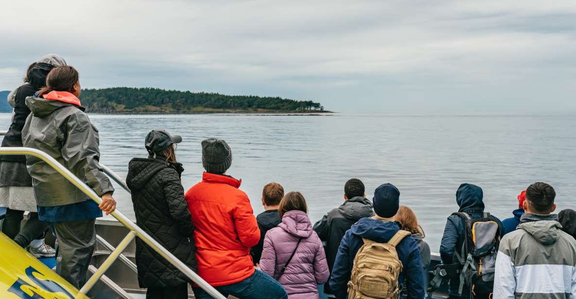 Vancouver, BC: Whale Watching Tour - Inclusions and Tour Features