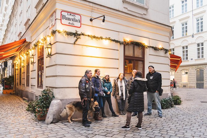 Vienna Small-Group Walking Tour on Poverty and Homelessness - Traveler Experience