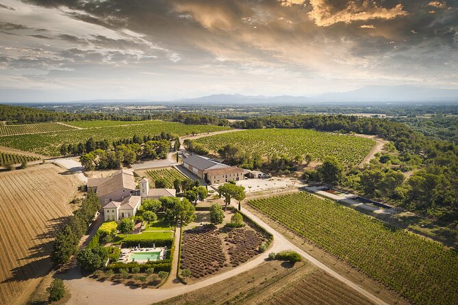 Visit the Cellars of Château Gigognan With a Tasting Opportunity - Vineyard Views