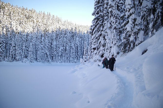 Whistler Small-Group Full-Day Snowshoe Tour - Equipment Needed