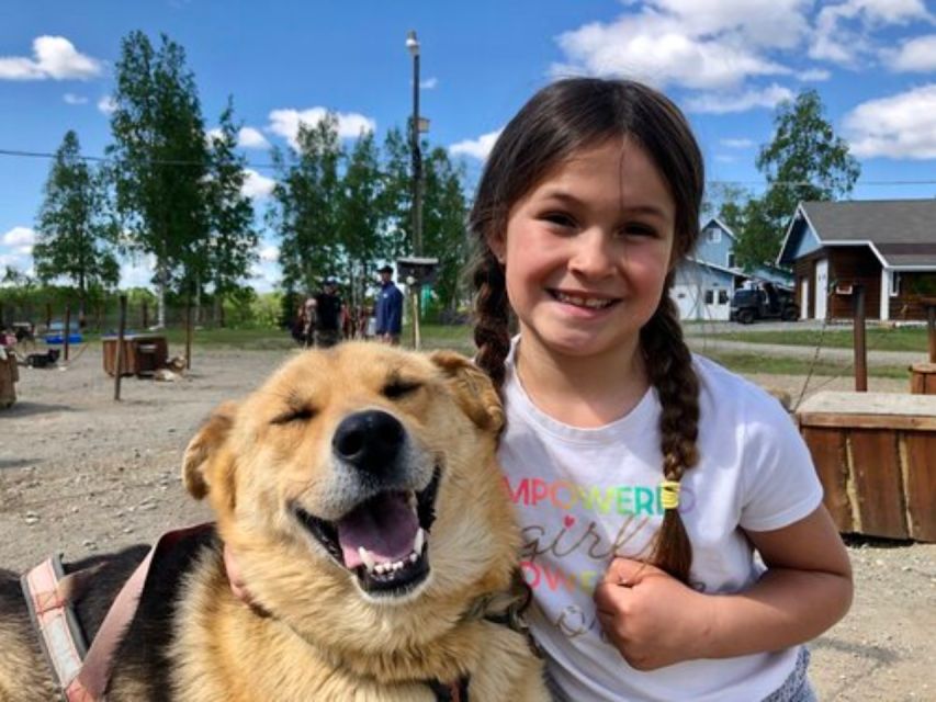 Willow: Summer Dog Sledding Ride in Alaska - Full Description