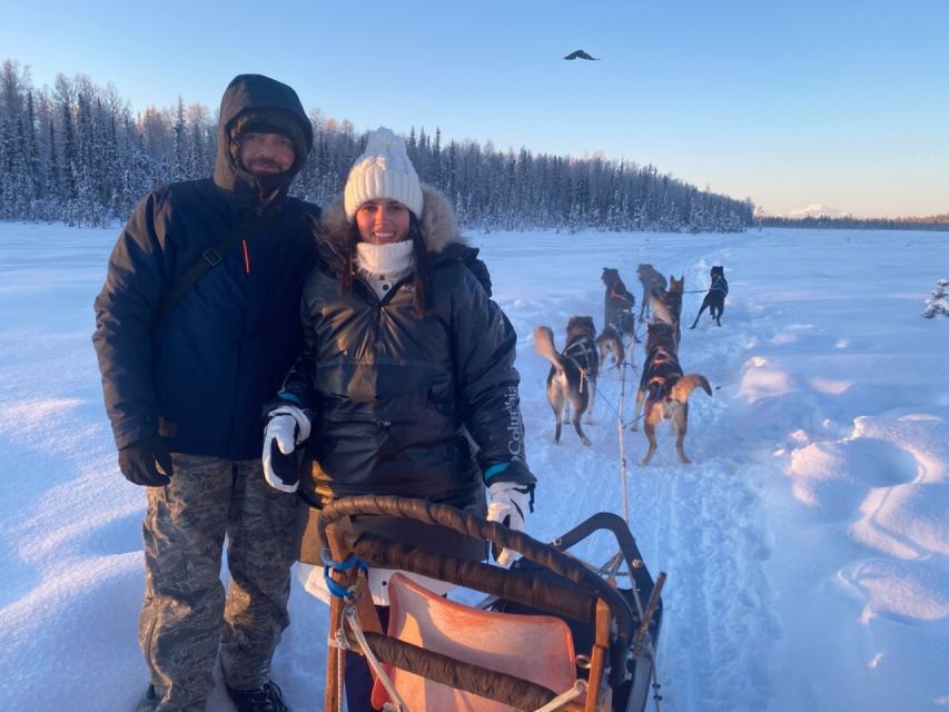 Willow: Traditional Alaskan Dog Sledding Ride - Detailed Experience Description