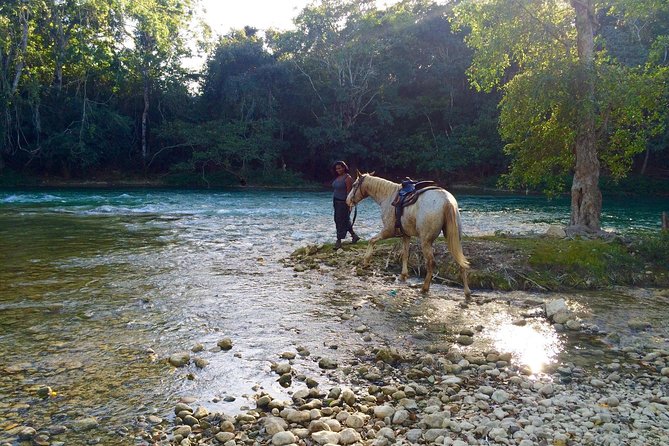 Xunantunich Horseback Riding Tour - Recommendations and Host Responses