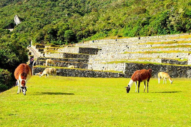 2-Day Private Tour of the Inca Trail to Machu Picchu - Additional Information
