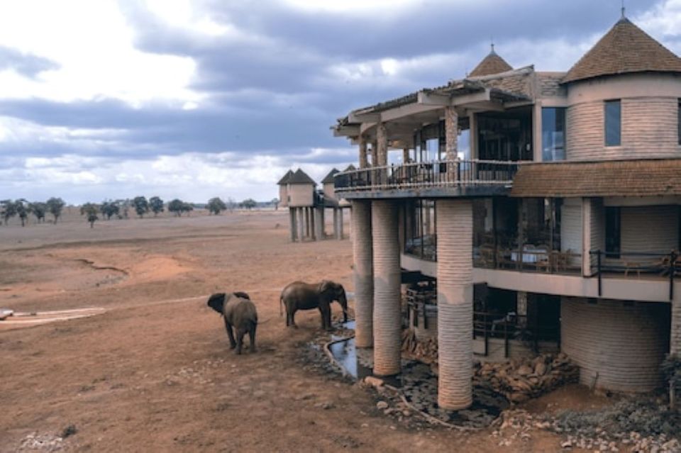 3 Days Safari to Saltlick Lodge From Nairobi - Common questions