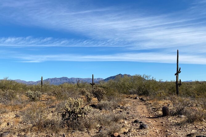 3 Hour Sonoran Desert Private Guided Mountain Bike Tour - Final Words