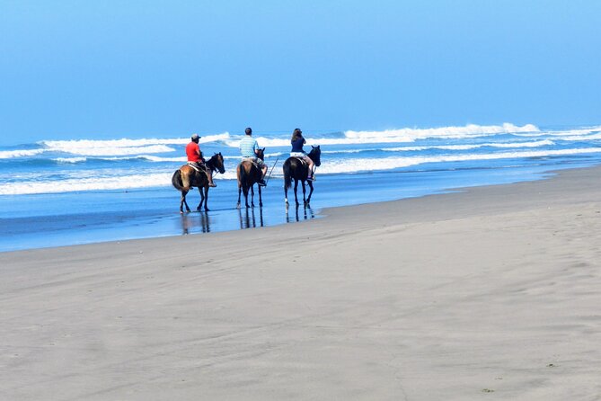 Acapulco Beach Horseback Riding Tour With Baby Turtle Release - Expectations and Requirements