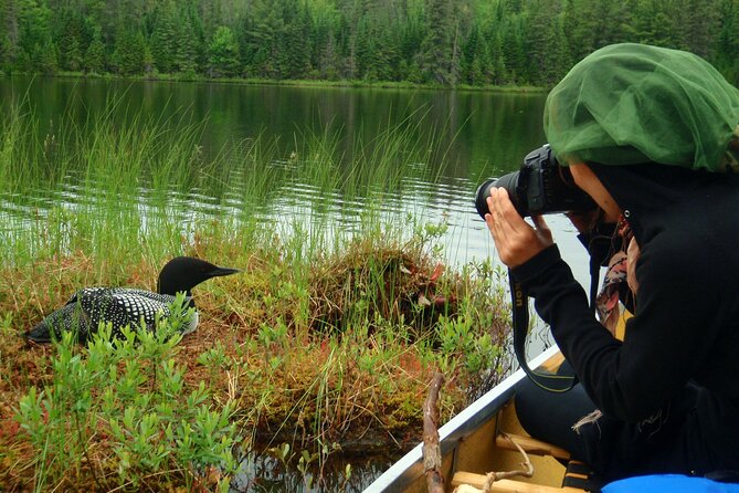 Algonquin Park 4-Day Luxury Moose/Beaver/Turtle Camping & Canoeing Adventure - Expectations and Policies