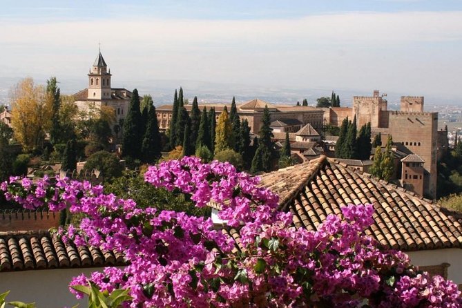 Alhambra Palace and Albaicin Tour With Skip the Line Tickets From Seville - Traveler Requirements and Recommendations