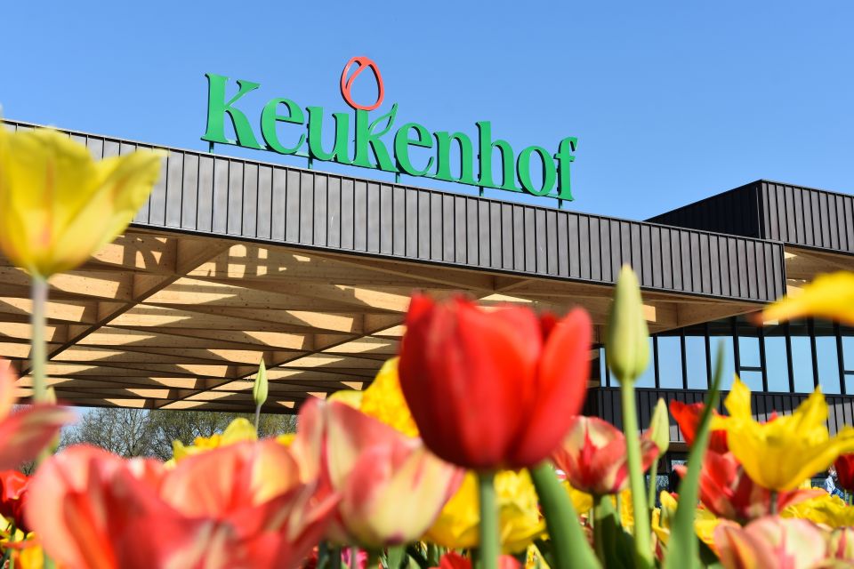 Amsterdam: Keukenhof & Tulip Experience Live Guided Day Tour - Review Summary and Feedback