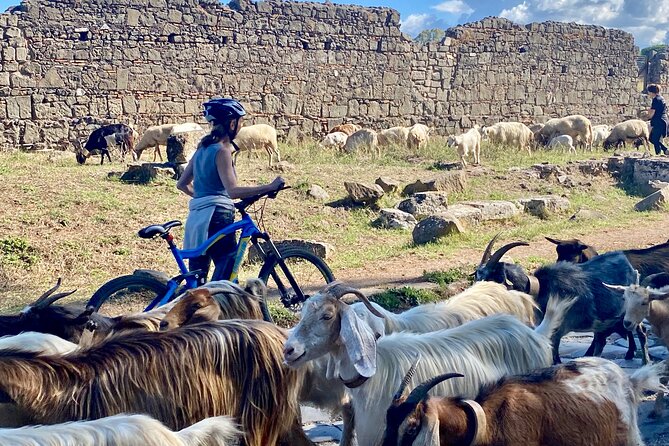 Appian Way on E-Bike: Tour With Catacombs, Aqueducts and Food. - E-Bike Tour Inclusions