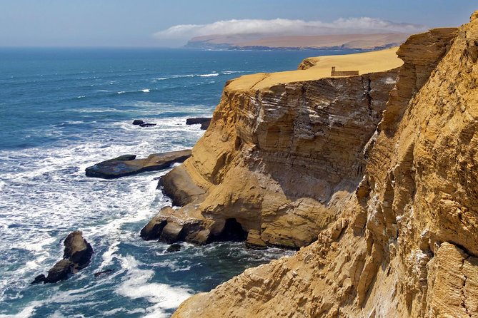 Ballestas Islands and Paracas Reserve From San Martin Port - Tour Guide Expertise and Experience
