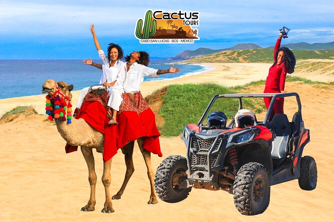 Beach UTV & Camel Ride COMBO in Cabo by Cactus Tours Park - Park Information