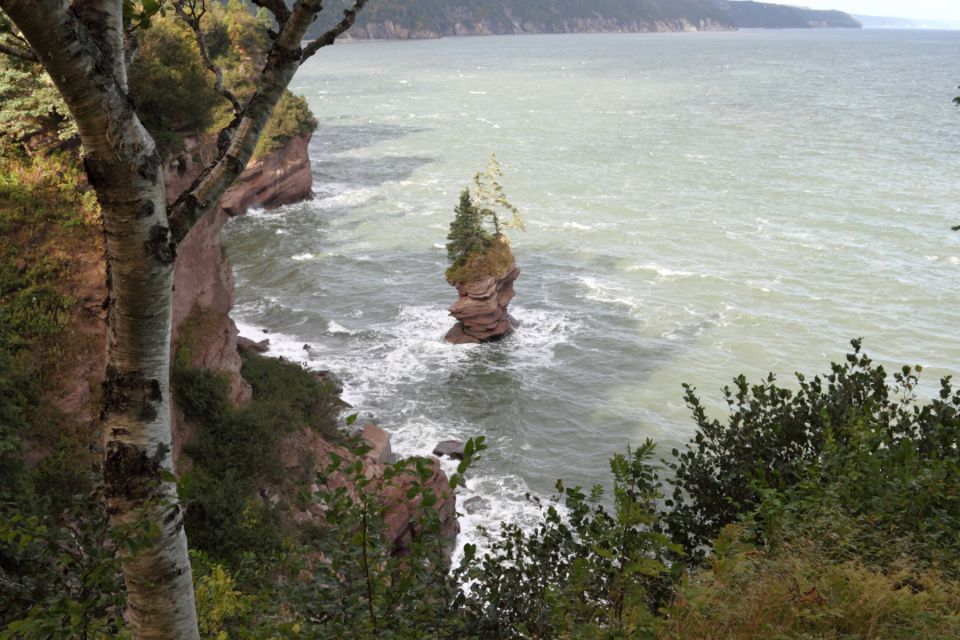 Best of Hopewell Rocks & Fundy National Park From Moncton - Highlights