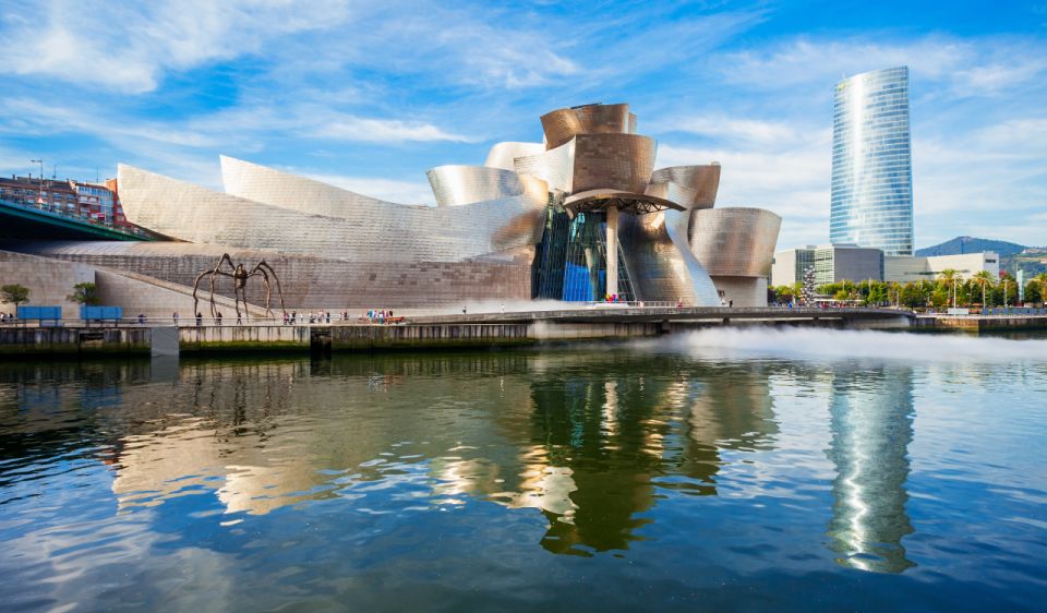 Bilbao & Guggenheim Private Walking Tour From Hotel/Center - Accessibility and Group Size