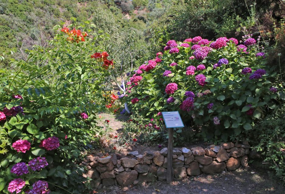 BOTANICAL PARK & GARDENS OF CRETE - Private Group Tours