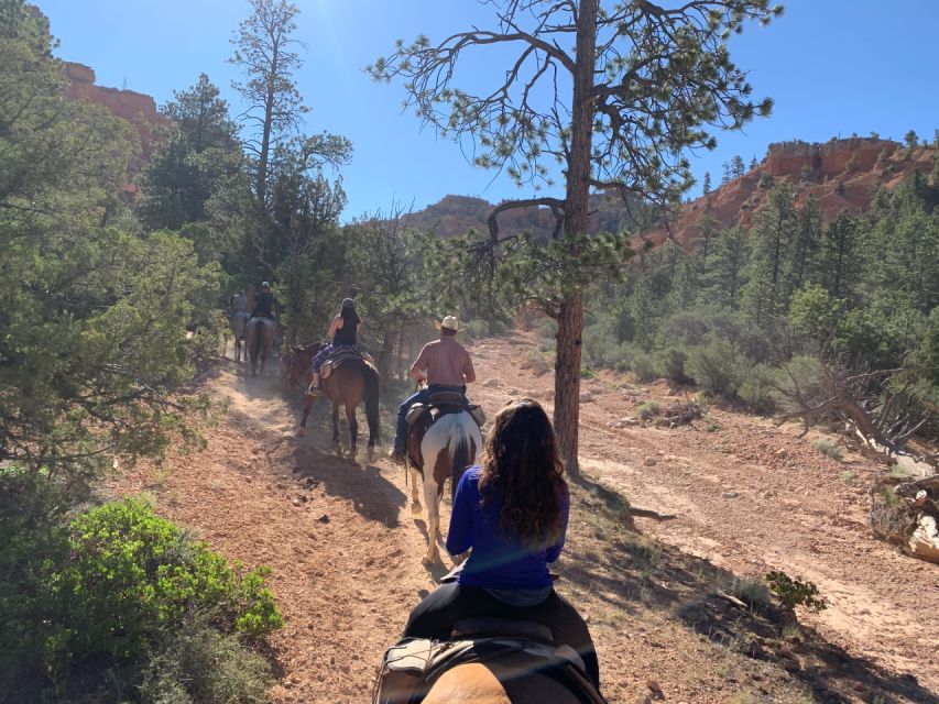 Bryce Canyon City: Red Canyon Horse Riding Day Trip W/ Lunch - Directions