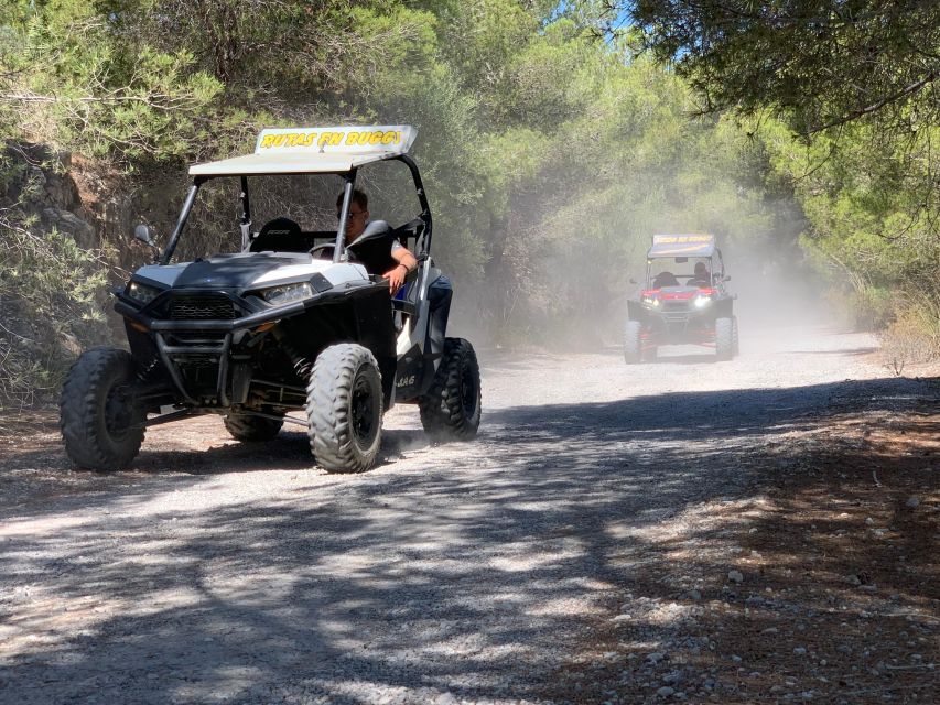 Cala Ratjada: Exclusive Buggy Tour Also for Families - Highlights